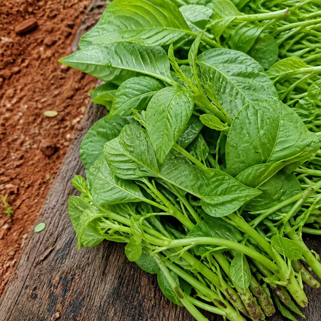 Freshly harvested ukazi leaves
